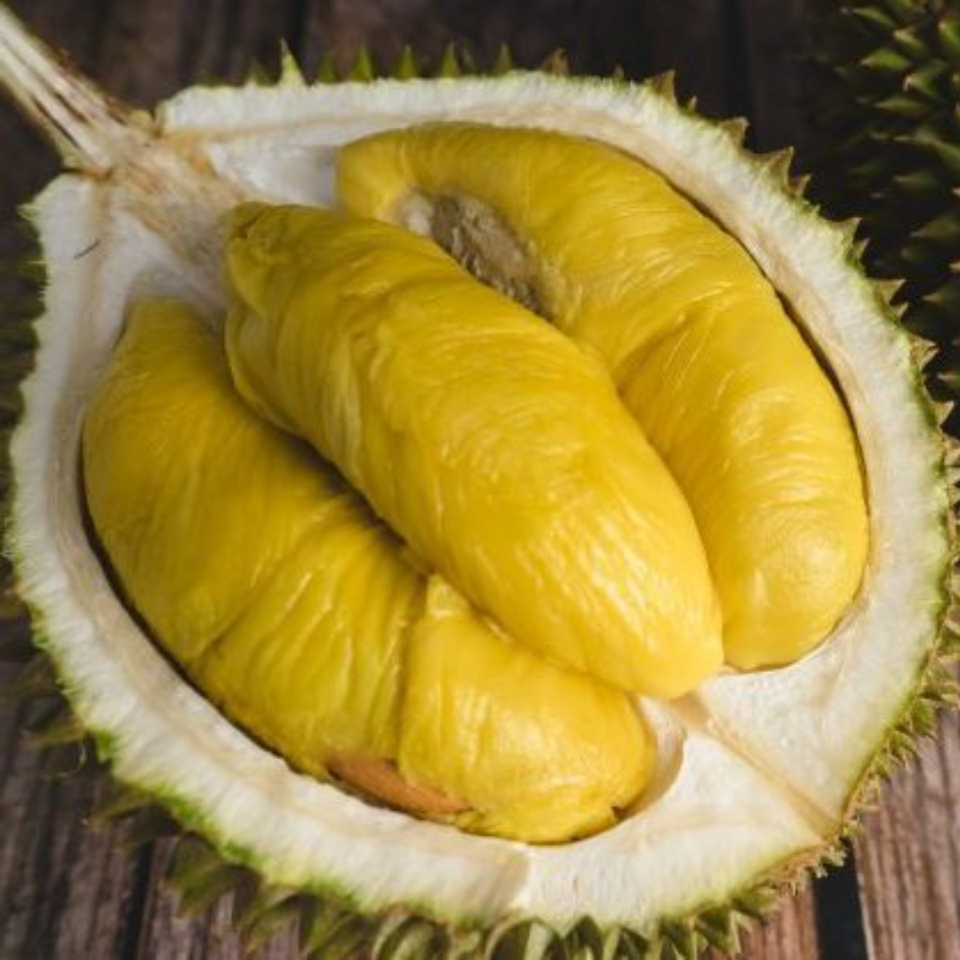 Durian - Musang King  - Fruit Plant