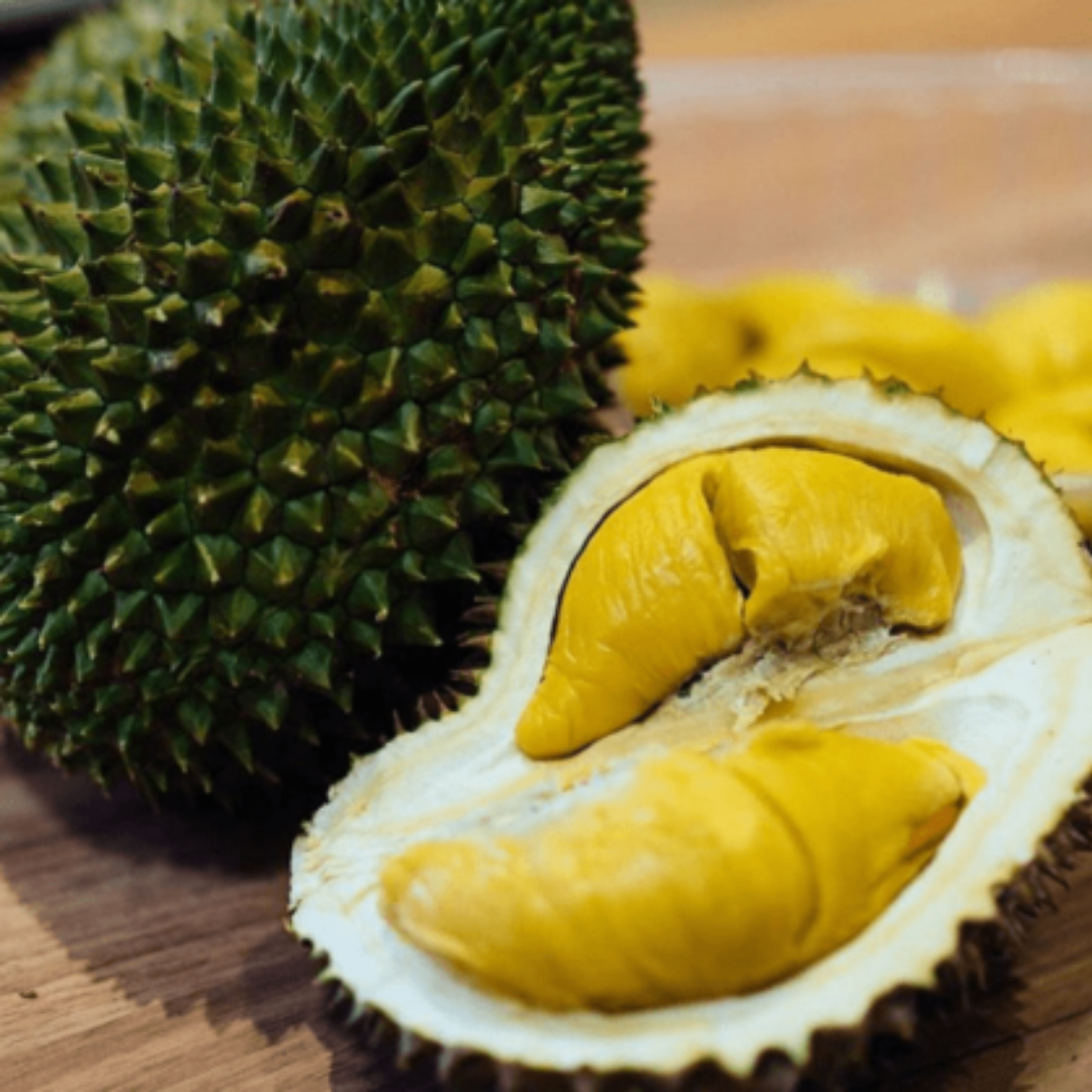 Durian - Musang King  - Fruit Plant