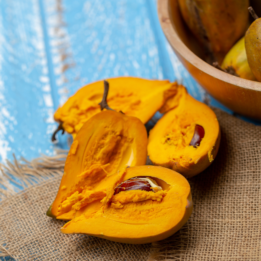 Eggfruit - Long - Pouteria campechiana Fruit Plant