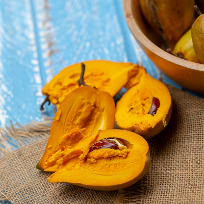 Eggfruit - Long - Pouteria campechiana Fruit Plant