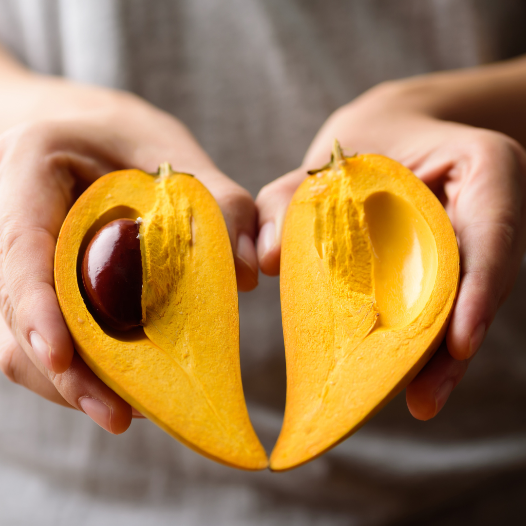 Eggfruit - Long - Pouteria campechiana Fruit Plant