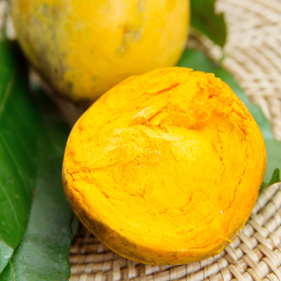 Eggfruit - Round - Pouteria campechiana Fruit Plant