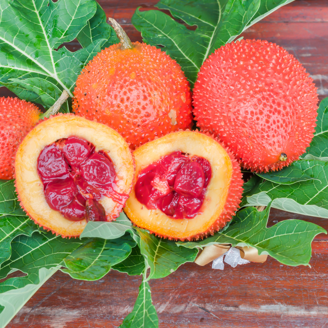 Gac Fruit - Red Hybrid - Fruit Seeds