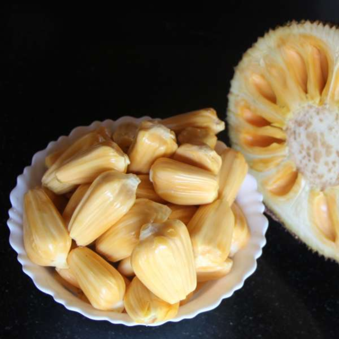 Jackfruit - Cambodian Orange - Hybrid Fruit Plant