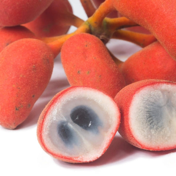 Dunal Fruit  (Uvaria Rufa) Fruit Plant