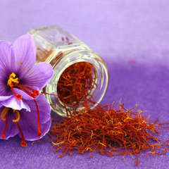 Kashmir Saffron - Crocus sativus - 5 Corms / Bulbs