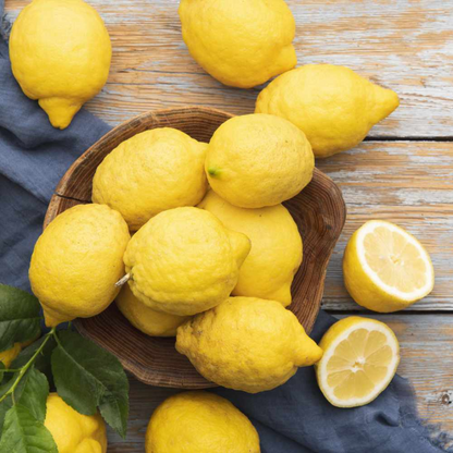 Citrus Lemon - Meyer Lemon - Hybrid Fruit Plant