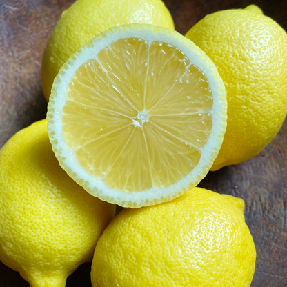 Citrus Lemon - Seedless Lemon - Hybrid Fruit Plant