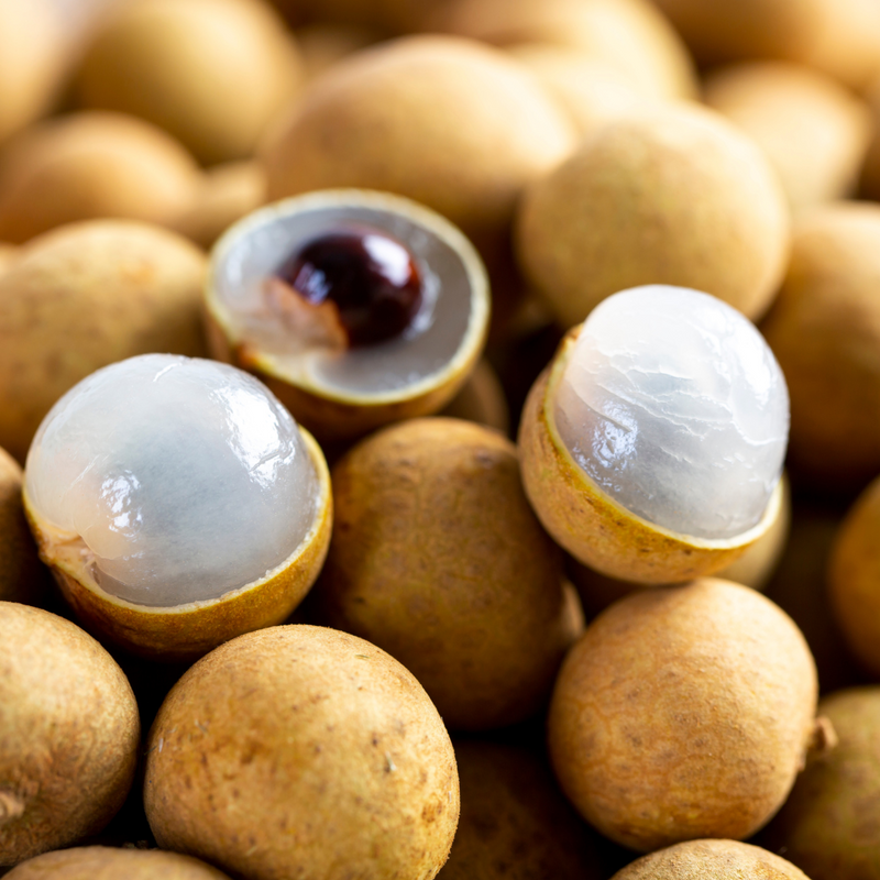 Longan - Dragon's Eye - Dimocarpus longan Fruit Plant