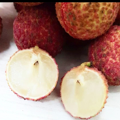 Lychee Fruit - Seedless Lychee - Litchi chinensis Fruit Plant