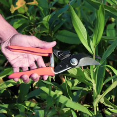 Major Plant Cutter Pruning Shears - Garden Tool