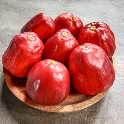 Malay Apple - Red - Syzygium malaccense Fruit Plant