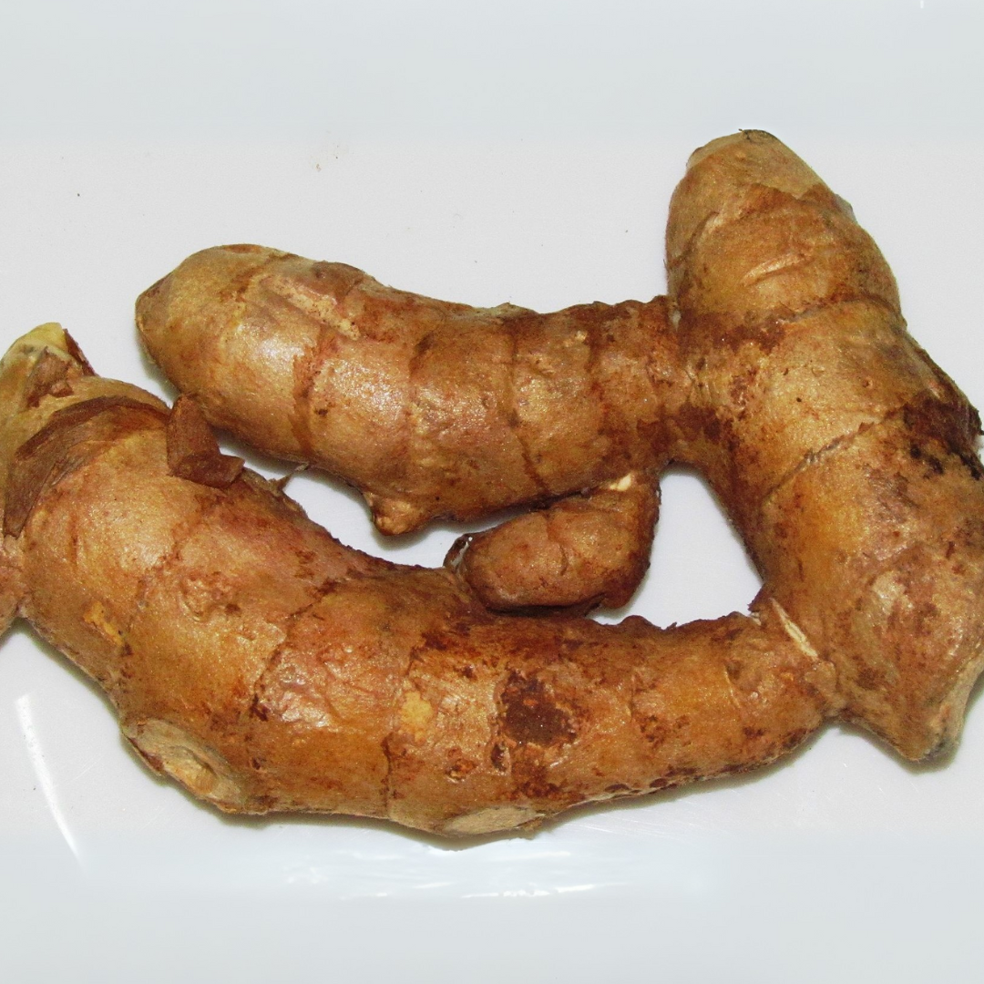 Mango Ginger - Curcuma Amada - 5 Rhizomes