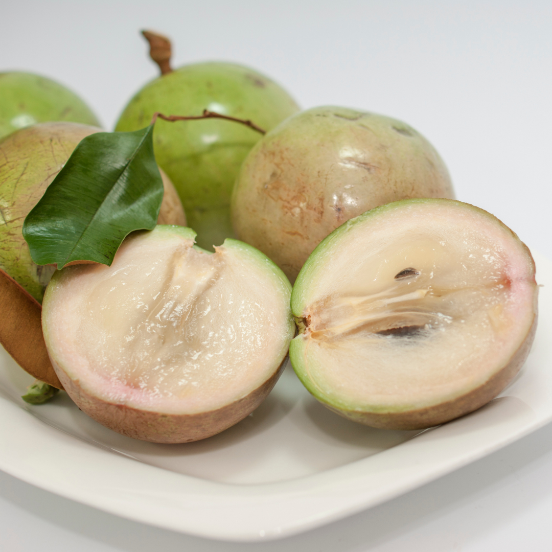 Milk Fruit / Star Apple - White - Chrysophyllum cainito Fruit Plant