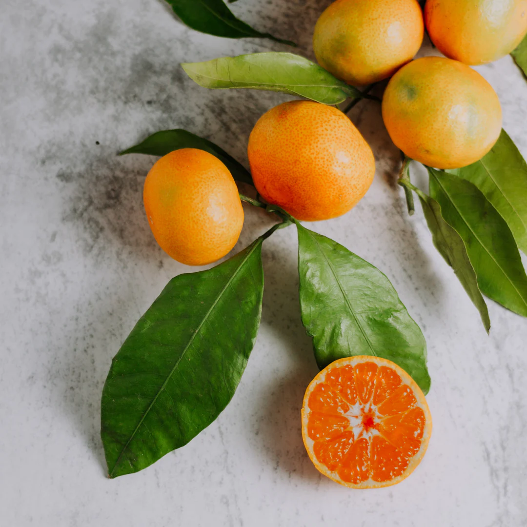 Citrus Orange - Mandarin Orange - Hybrid Fruit Plant