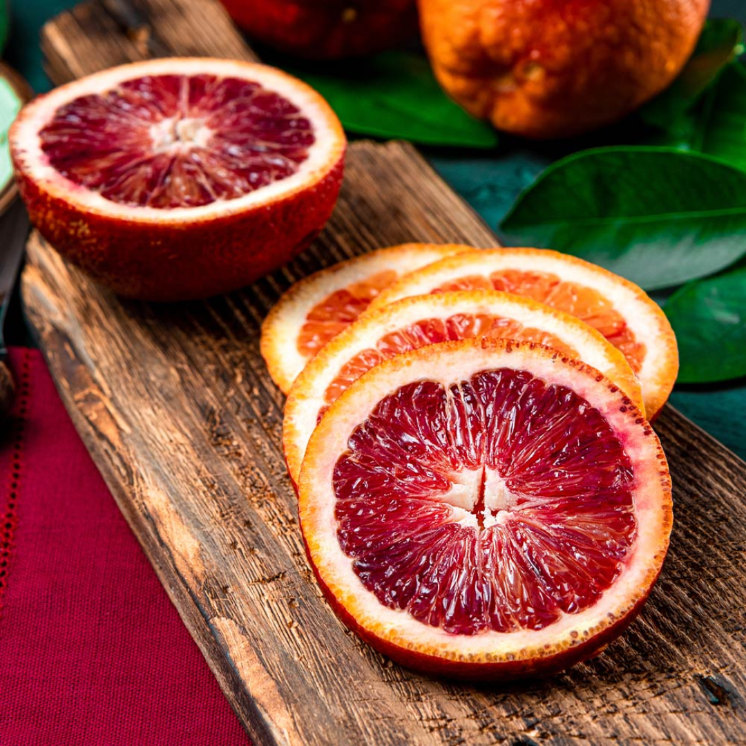 Citrus Orange - Blood Red Orange - Hybrid Fruit Plant