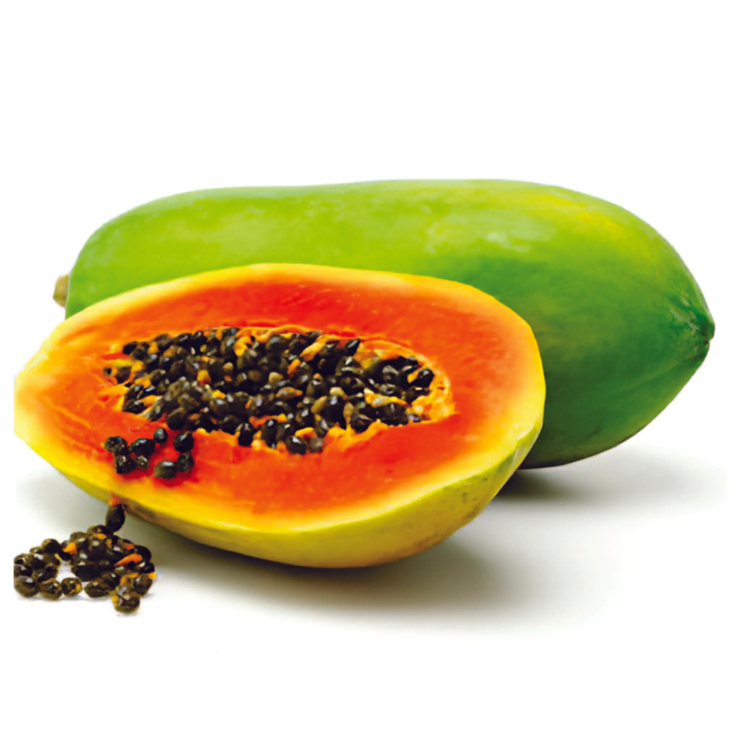 Papaya - Taiwan Red Lady - Hybrid Fruit Plant