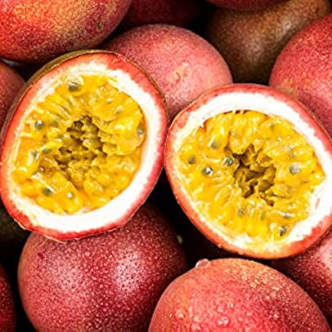 Passionfruit - Giant Red Fruit Plant