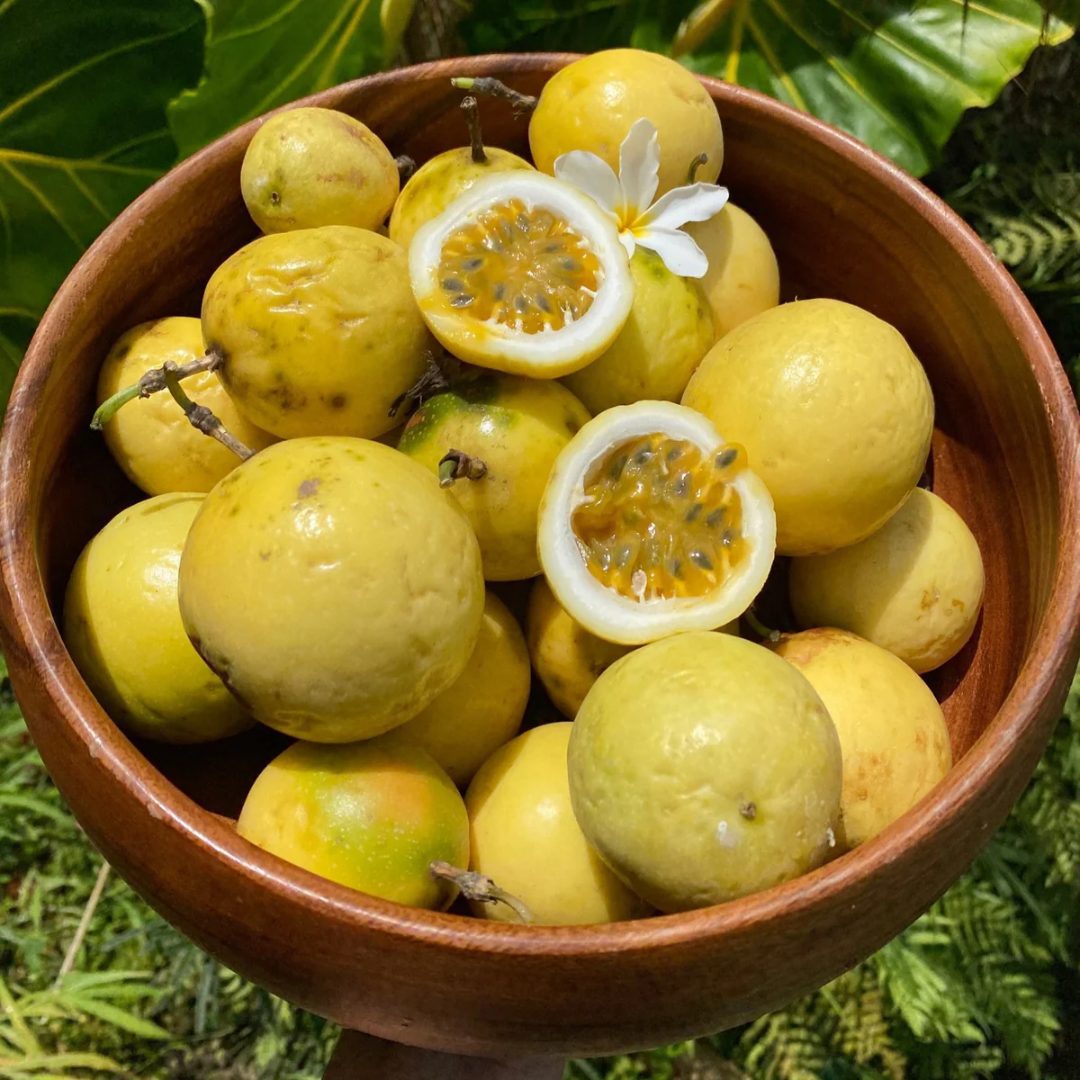 Passionfruit - Lilikoi Fruit Plant