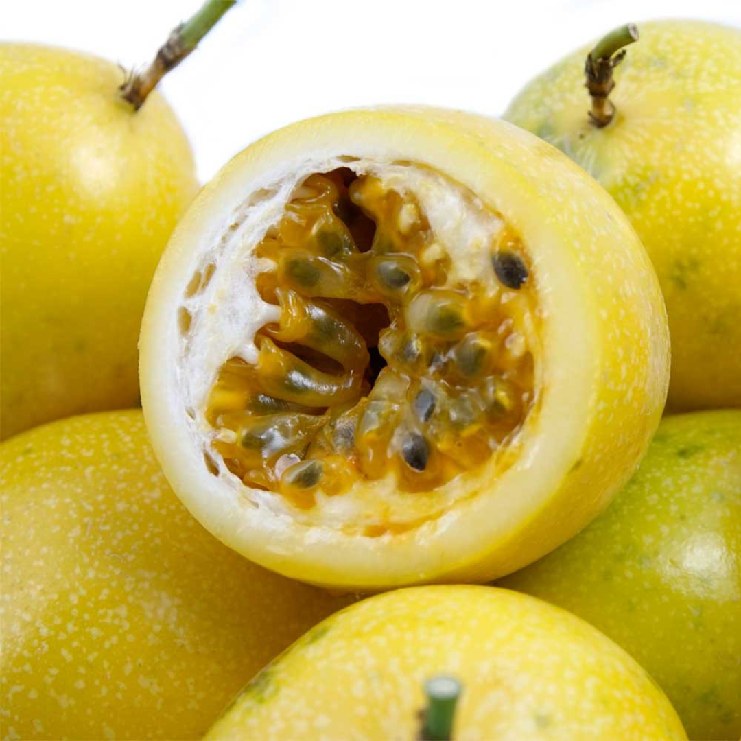 Passionfruit - Panama Gold Fruit Plant