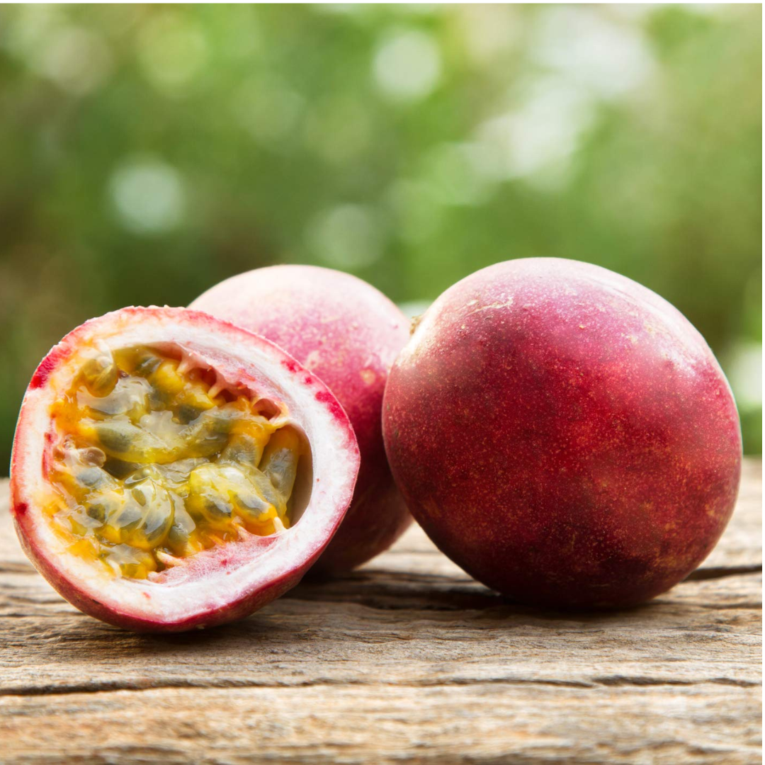 Passionfruit - Panama Red Fruit Plant