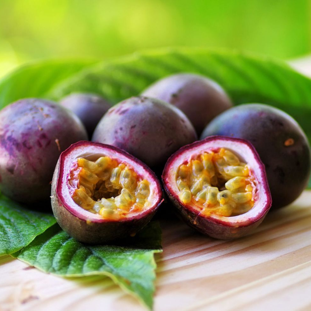 Purple Passionfruit Fruit Plant