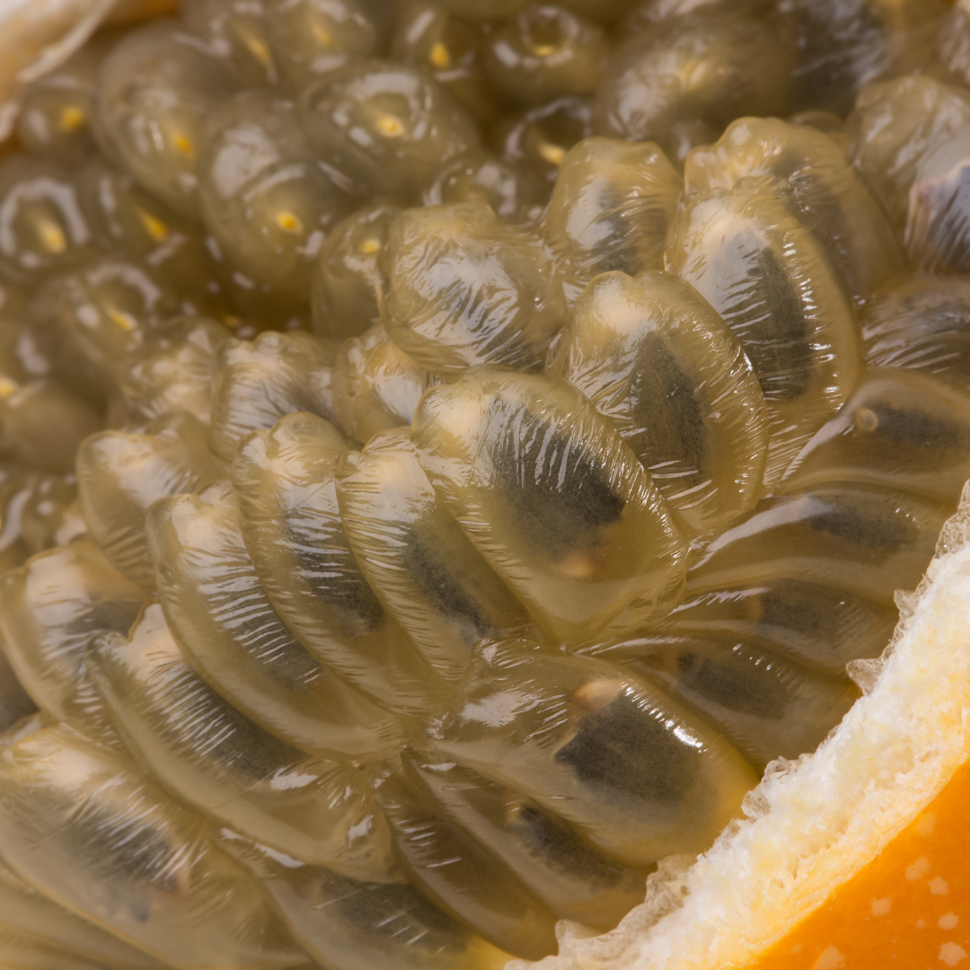 Passionfruit - Yellow Honey Fruit Plant