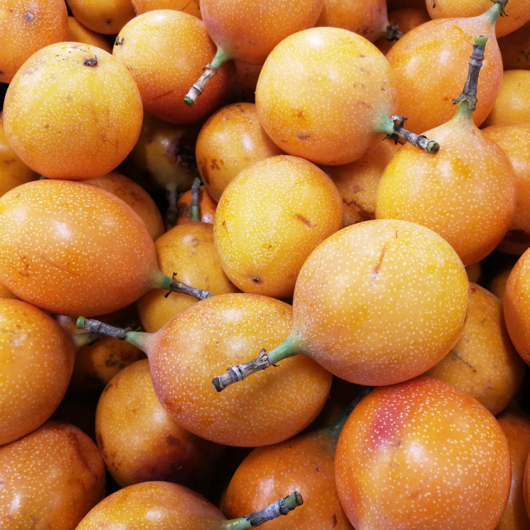 Passionfruit - Yellow Honey Fruit Plant