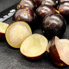 Hybrid Jaboticaba - Plinia phitrantha 