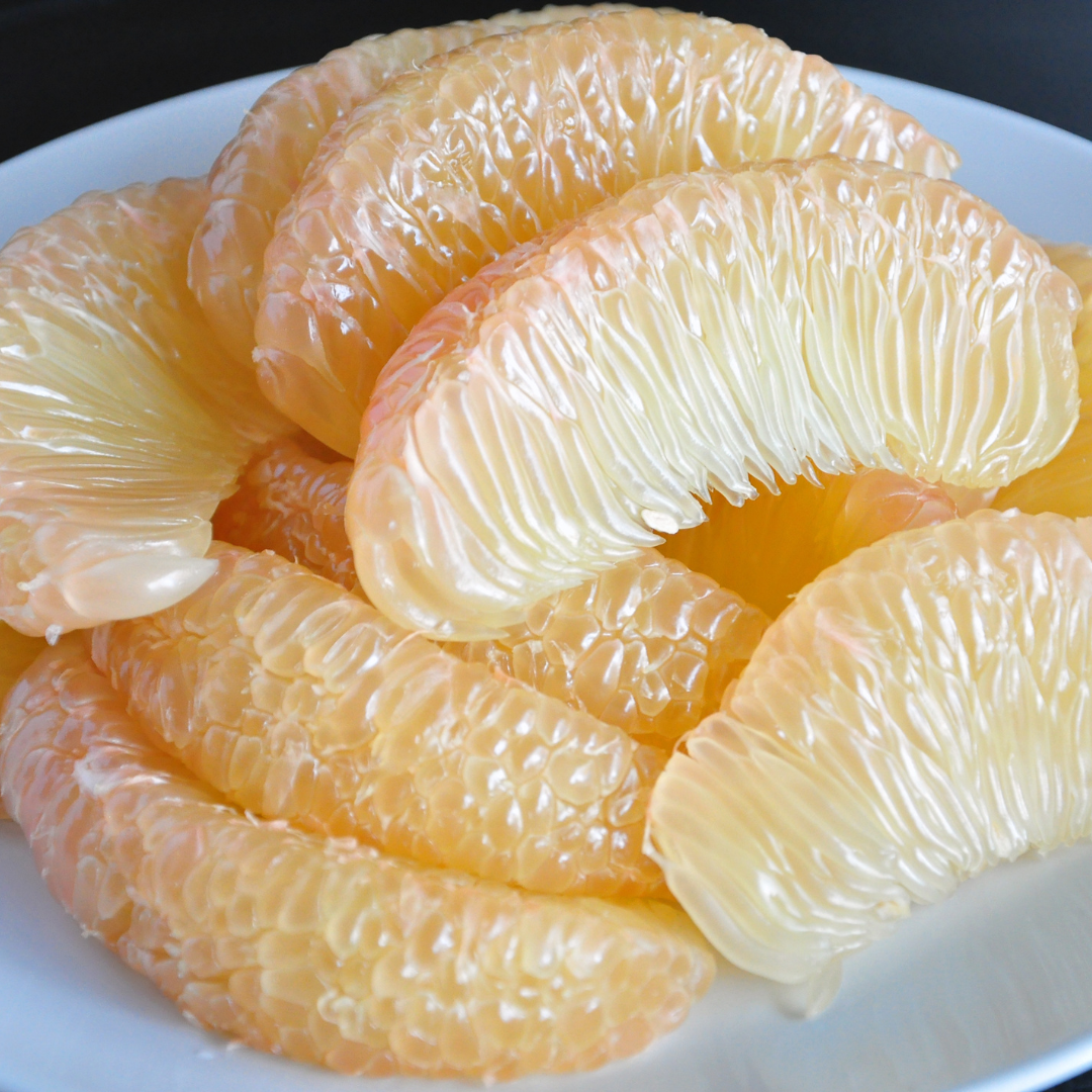 Pomelo - White - Citrus maxima Fruit Plant