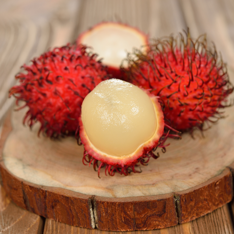 Rambutan - Jumbo KG10 - Hybrid Fruit Plant