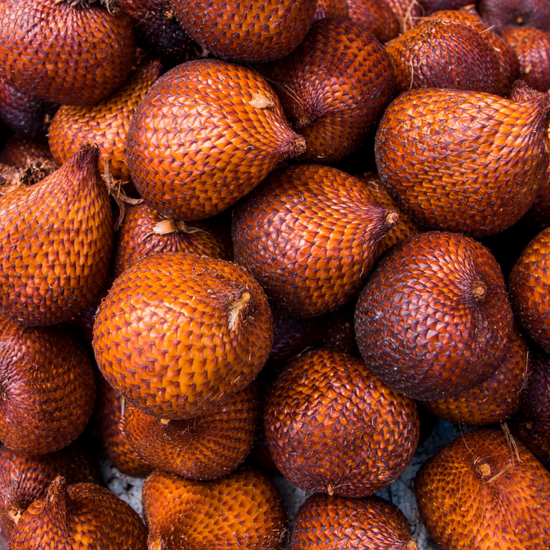 Salak / Snake Fruit - White - Salacca zalacca Fruit Plant