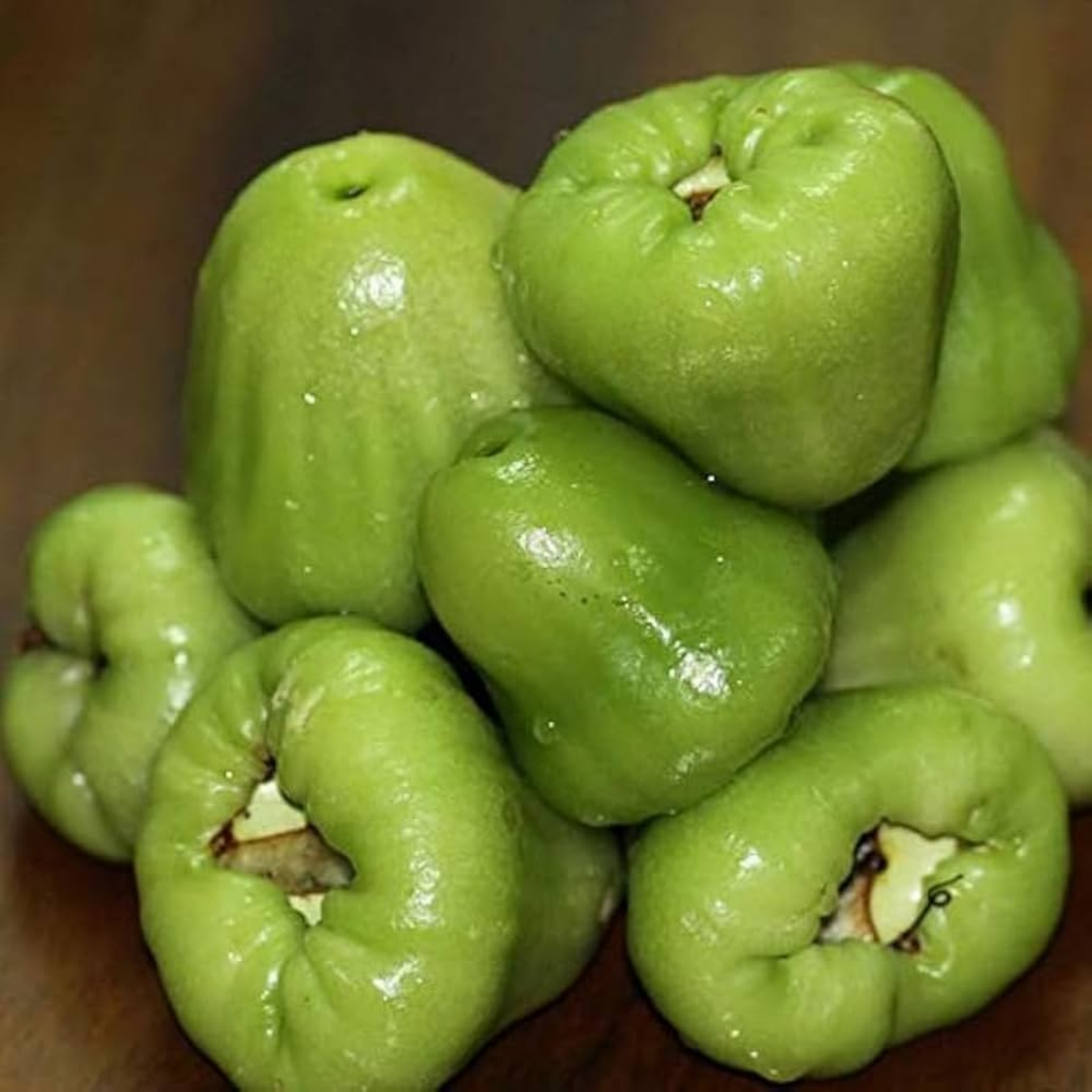 Water Apple - Green - Syzygium aqueum Fruit Plant