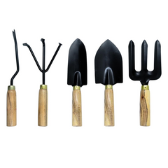 Gardening Tool Kit - Set of 5 ( Wooden Handle)