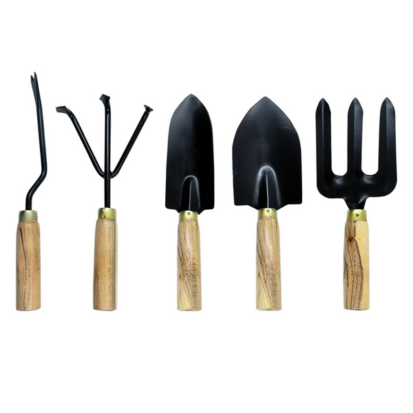 Gardening Tool Kit - Set of 5 ( Wooden Handle)
