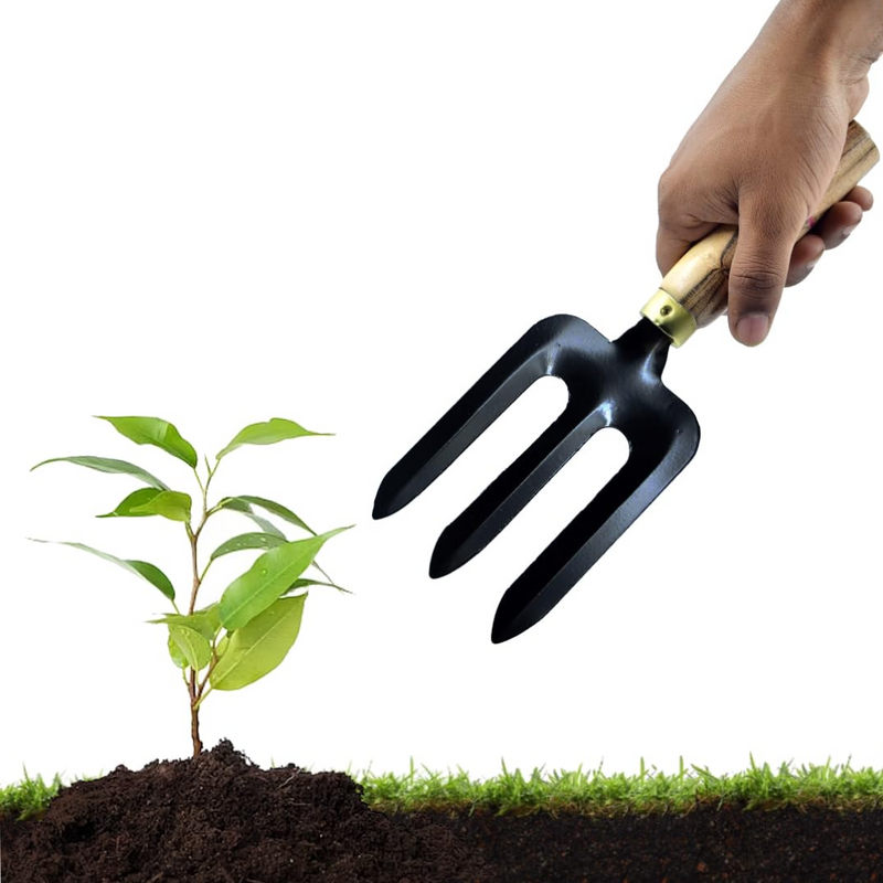 Gardening Tool Kit - Set of 5 ( Wooden Handle)