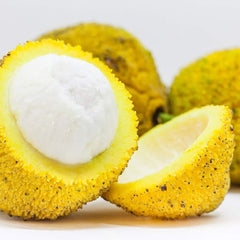 Madrono Fruit (Garcinia Madruno) Fruit Plant