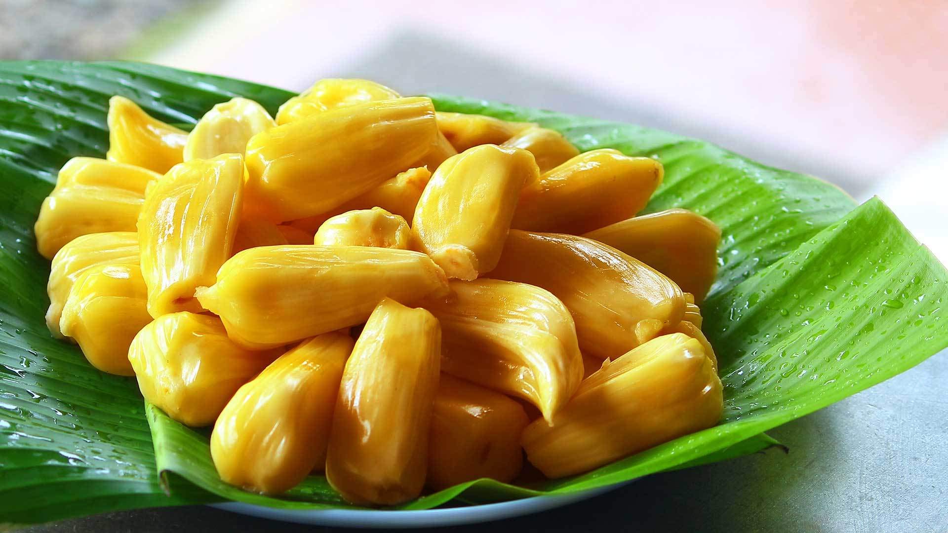 Hybrid Jackfruit - Then Varikka / Honey Jackfruit Exotic Fruit Plant