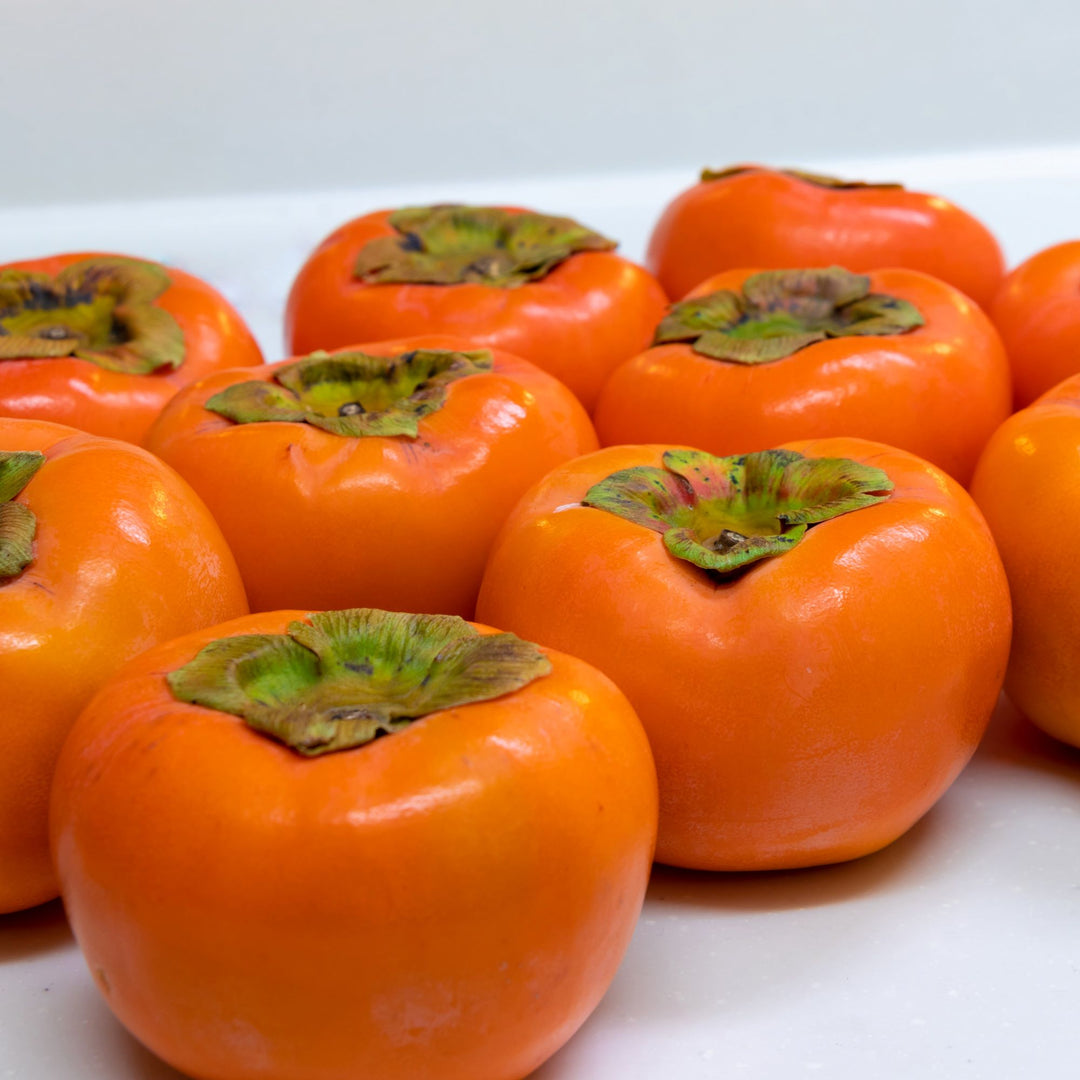 Persimmon " Fuyu  " Exotic 5 Fruit Seeds