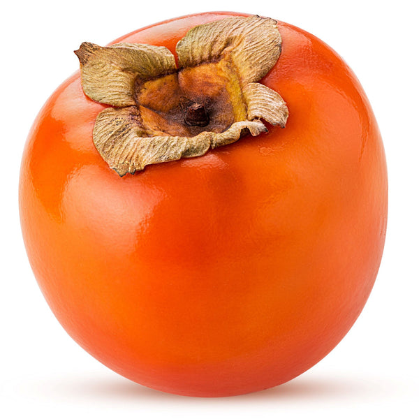 Persimmon 