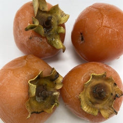 Persimmon 