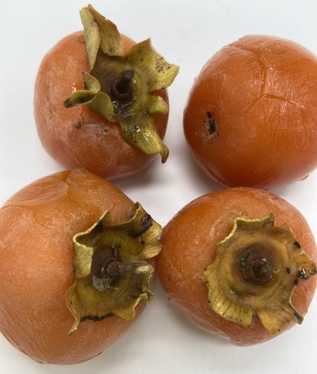 Persimmon " American  " Exotic 5 Fruit Seeds