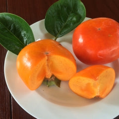 Persimmon 