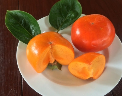 Persimmon " Ichikikijiro  " Exotic 5 Fruit Seeds