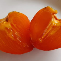 Persimmon 