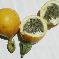 Passionfruit 