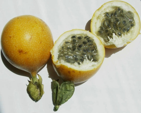 Passionfruit " Sweet Granadilla  " Exotic 20 Fruit Seeds