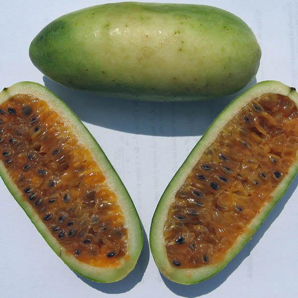 Passionfruit " Banana  " Exotic 20 Fruit Seeds