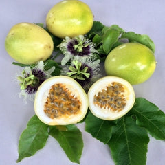 Passionfruit 