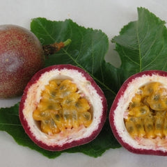 Passionfruit 